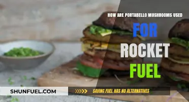 Portobello Mushrooms: Unlikely Rocket Fuel Source Explained