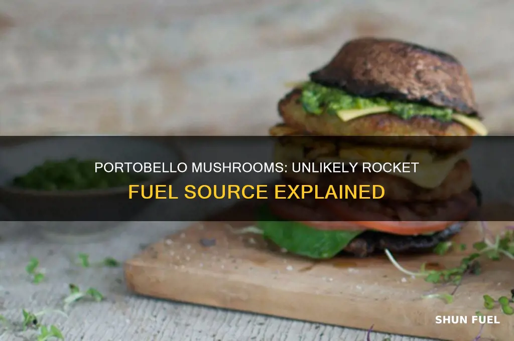 how are portabello mushrooms used for rocket fuel