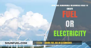 Harnessing Renewable Resources: Transforming Wind, Solar, and Biomass into Power