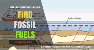 Seismic Waves: Uncovering Fossil Fuels Beneath the Earth's Surface