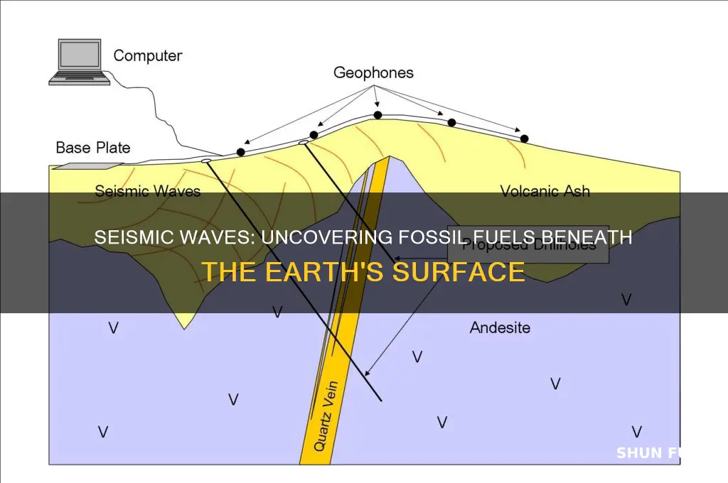 how are seismic waves used to find fossil fuels