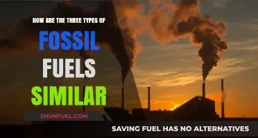 Fossil Fuels: Similarities in Their Harmful Nature