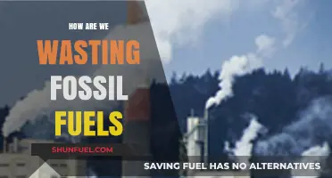 The Squandering of Fossil Fuels: Our Wasteful Ways