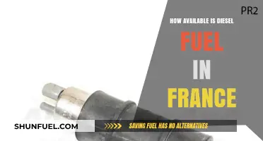 Diesel Fuel in France: Is It Readily Available?