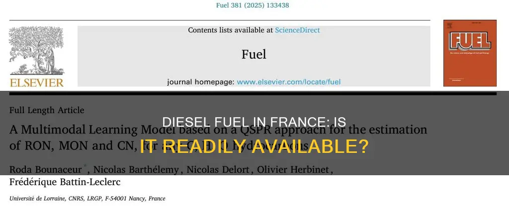 how available is diesel fuel in france