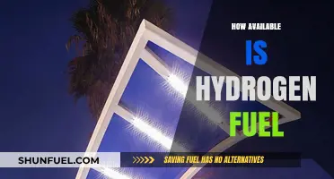 Hydrogen Fuel Availability: Current Status and Future Prospects