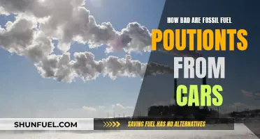 Cars and Fossil Fuels: Poisoning Our Planet