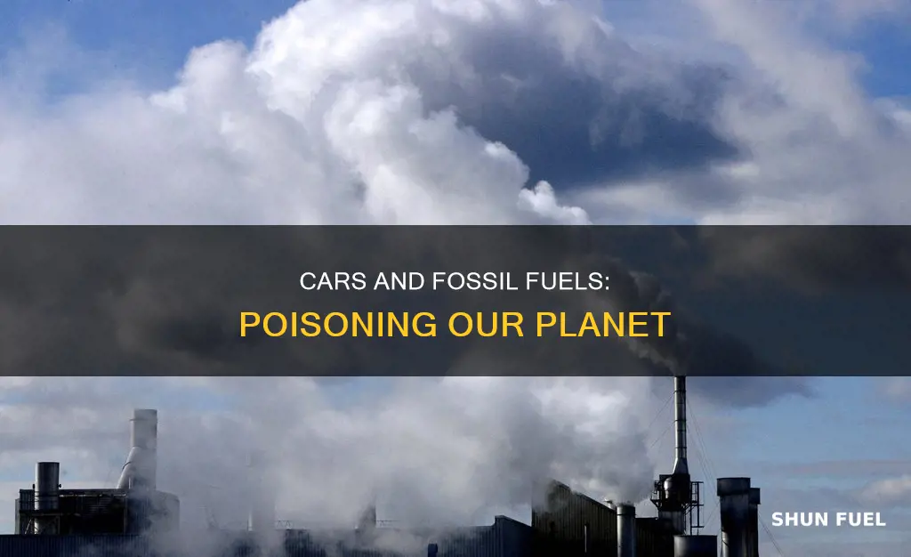 how bad are fossil fuel poutionts from cars