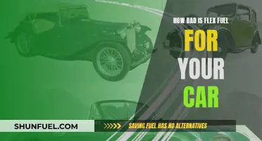 Flex Fuel: Friend or Foe to Your Car?