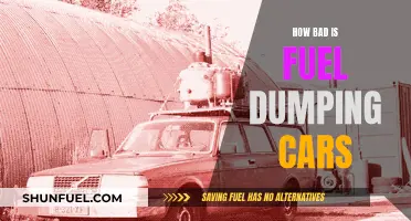 The Environmental Impact of Fuel Dumping: A Car's Legacy