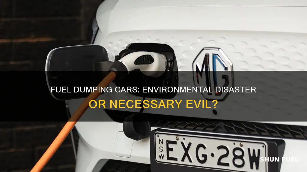 how bad is fuel dumping cars