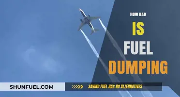 Fuel Dumping's Environmental Impact: A Necessary Evil or Avoidable Crisis?