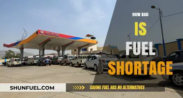 Fuel Shortage Crisis: Impact, Causes, and Solutions Explained