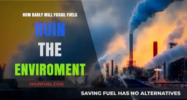 Fossil Fuels: Ruining Our Planet, Our Future
