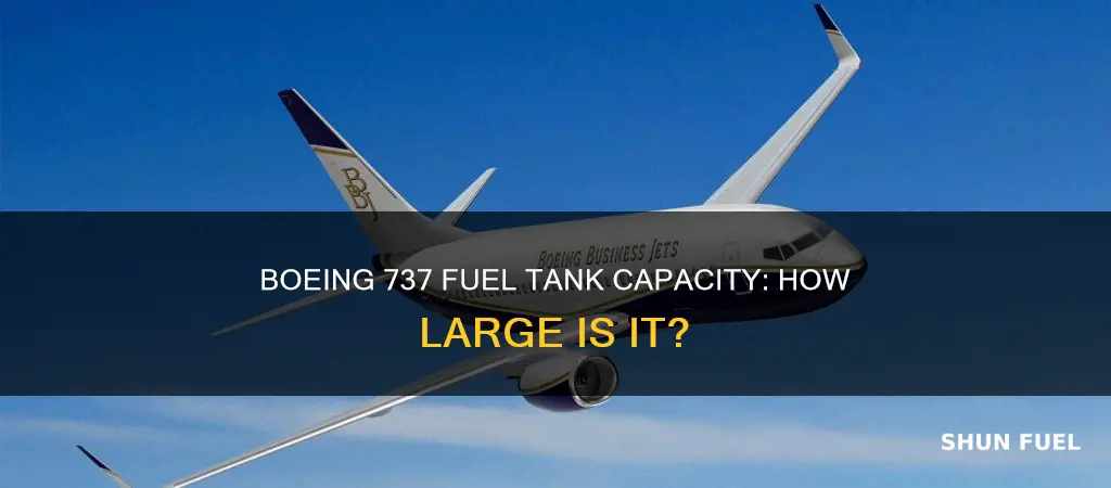 how big is a 737 fuel tank