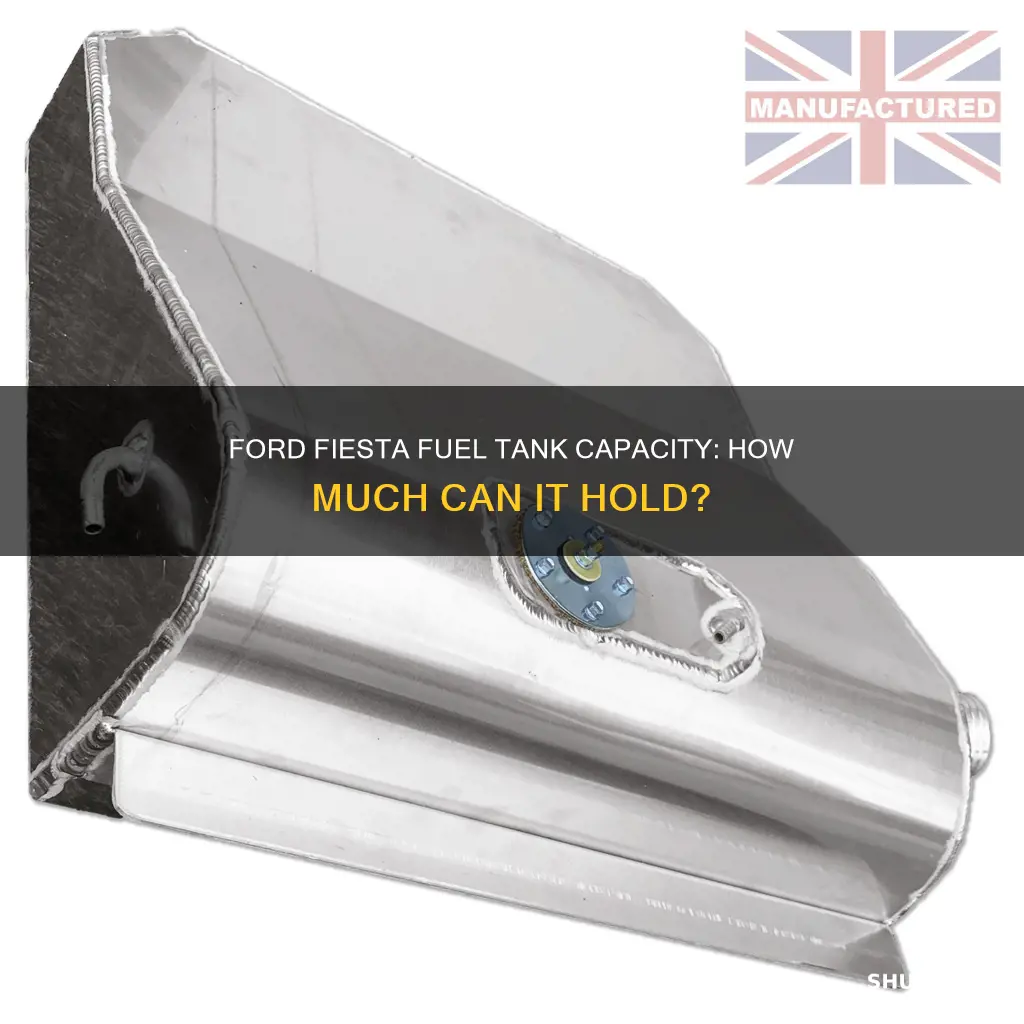 how big is a ford fiesta fuel tank