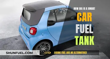 Unveiling the Mystery: Smart Car Fuel Tank Capacity Explained