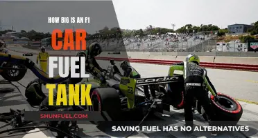 F1 Fuel Tank: Size, Capacity, and Strategy