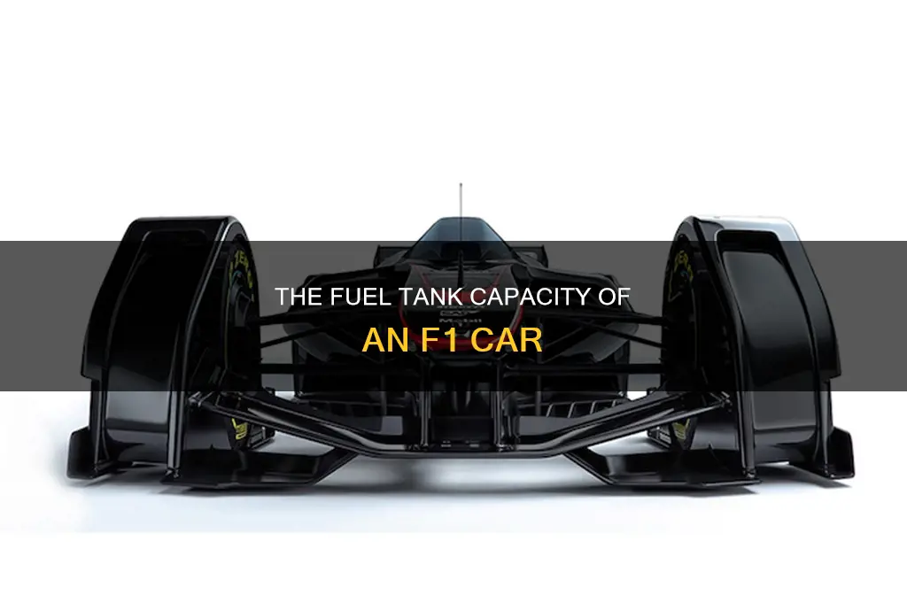 how big is an f1 car fuel tank