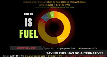 Exploring the Vast Scale and Impact of Global Fuel Consumption