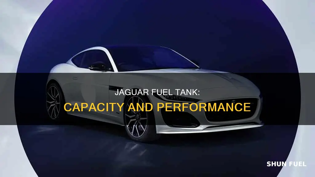 how big is the jaguar fuel tank