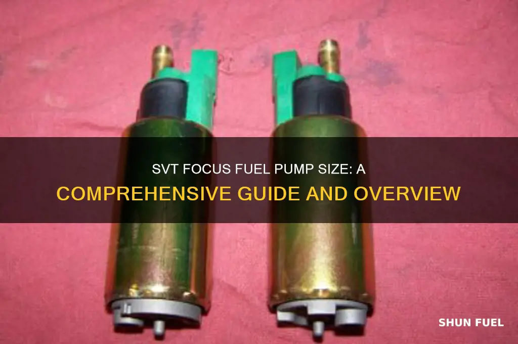 how big is the svt focus fuel pump