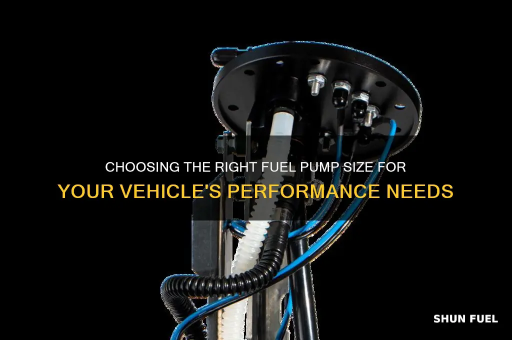 how big of a fuel pump do i need