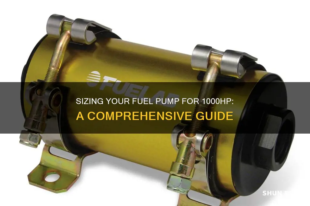 how big of a fuel pump for 1000hp