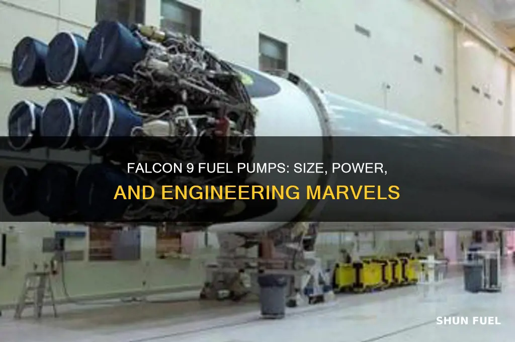 how big or the fuel pumps on falcon 9