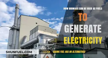Harnessing Biomass: Sustainable Fuel Solutions for Electricity Generation