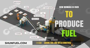 Harnessing Biomass: Sustainable Fuel Production Methods and Benefits