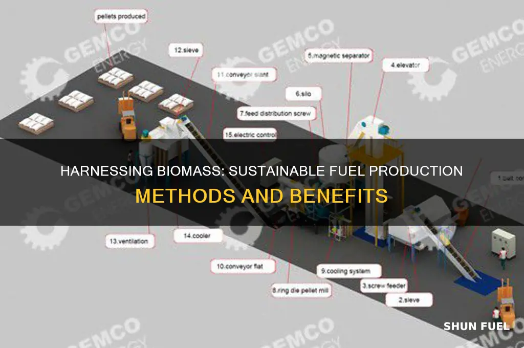 how biomass is used to produce fuel