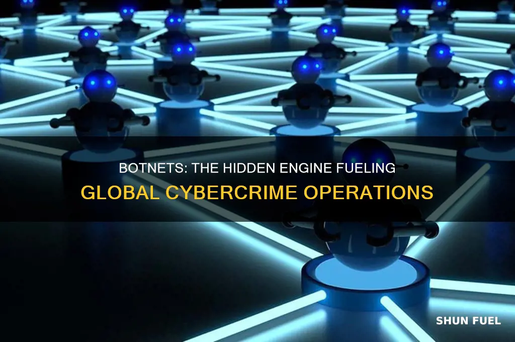 how botnets can be used as a fuel to cybercrime