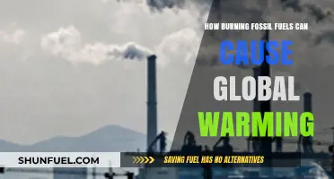 Fossil Fuels, Greenhouse Gases, and the Global Warming Crisis