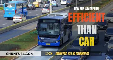 Bus: The Green Choice for Fuel-Efficient Travel