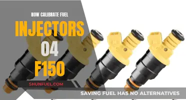 Calibrating Fuel Injectors: '04 F150 Step-by-Step Guide