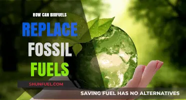 Sustainable Energy Transition: Biofuels as Fossil Fuel Alternatives