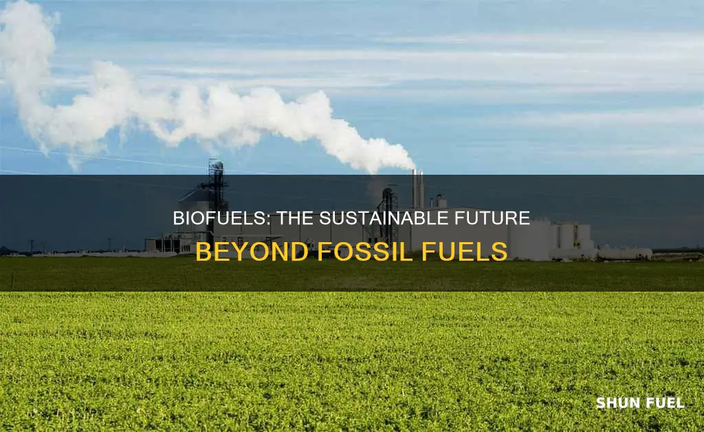 how can biofuels replace fossil fuels