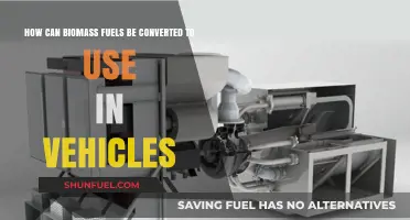 Transforming Biomass Fuels for Sustainable Vehicle Energy Solutions