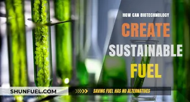 Biotechnology's Role in Developing Eco-Friendly, Sustainable Fuel Solutions