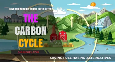 Burning Fossil Fuels: Disrupting the Carbon Cycle and Climate Balance
