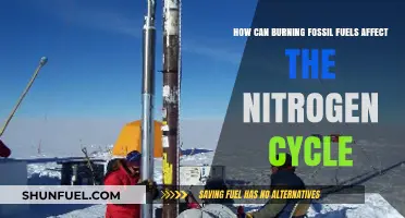 Burning Fossil Fuels: Disrupting the Nitrogen Cycle and Ecosystem Balance