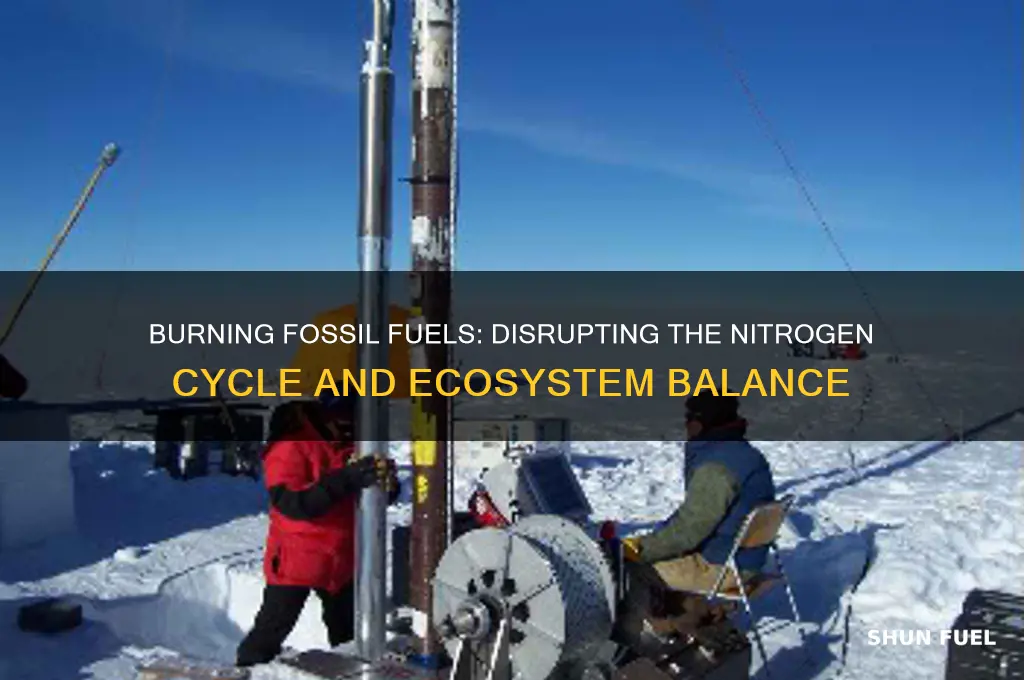 how can burning fossil fuels affect the nitrogen cycle