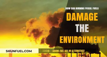 Burning Fossil Fuels: Environmental Damage and Long-Term Consequences Explained