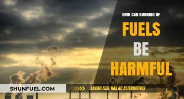 The Hidden Dangers of Burning Fuels: Environmental and Health Impacts