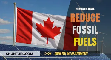 Canada's Green Future: Reducing Fossil Fuel Reliance
