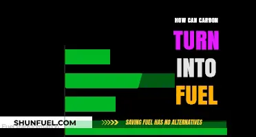 Transforming Carbon into Fuel: Sustainable Energy Solutions for a Greener Future