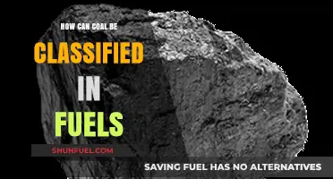 Understanding Coal Classification: Types, Properties, and Fuel Categorization