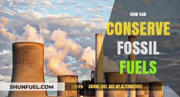 Conserving Fossil Fuels: Tips for a Sustainable Future