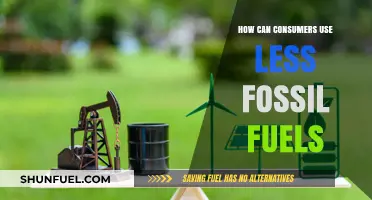 Consumers: Cut Fossil Fuel Usage, Save the Planet